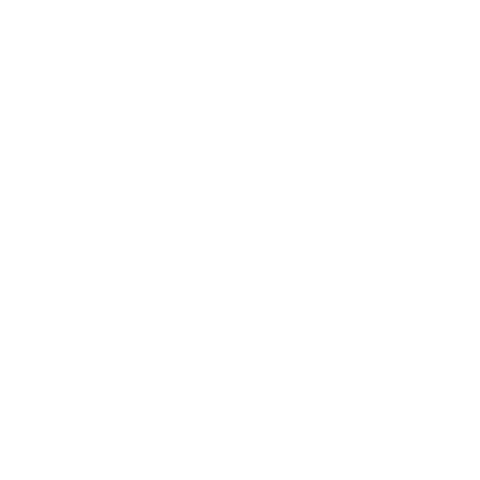 Goal Icon