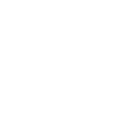 Aim Icon
