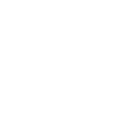 Vision Icon